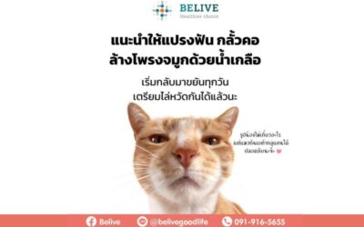 เรื่องการหายใจกับการสร้างภูมิคุ้มกัน